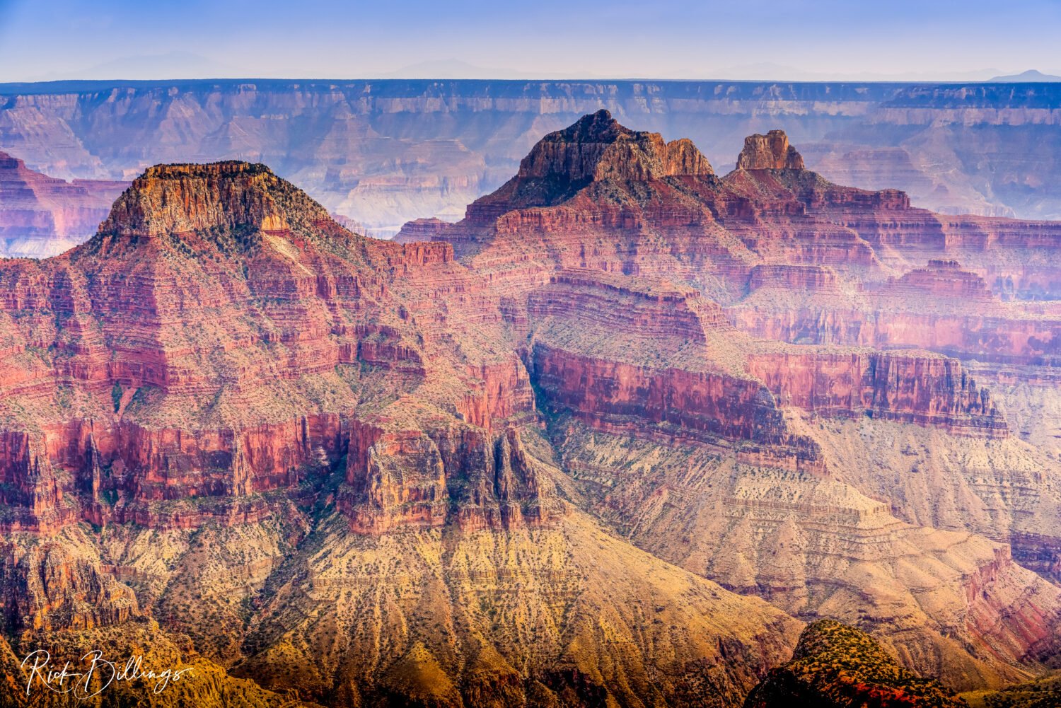 1294-Grand-Canyon-North-Rim