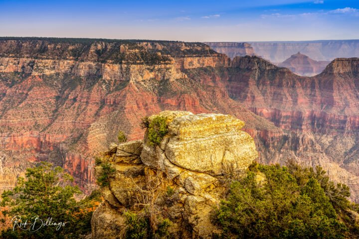 1295-Grand-Canyon-North-Rim