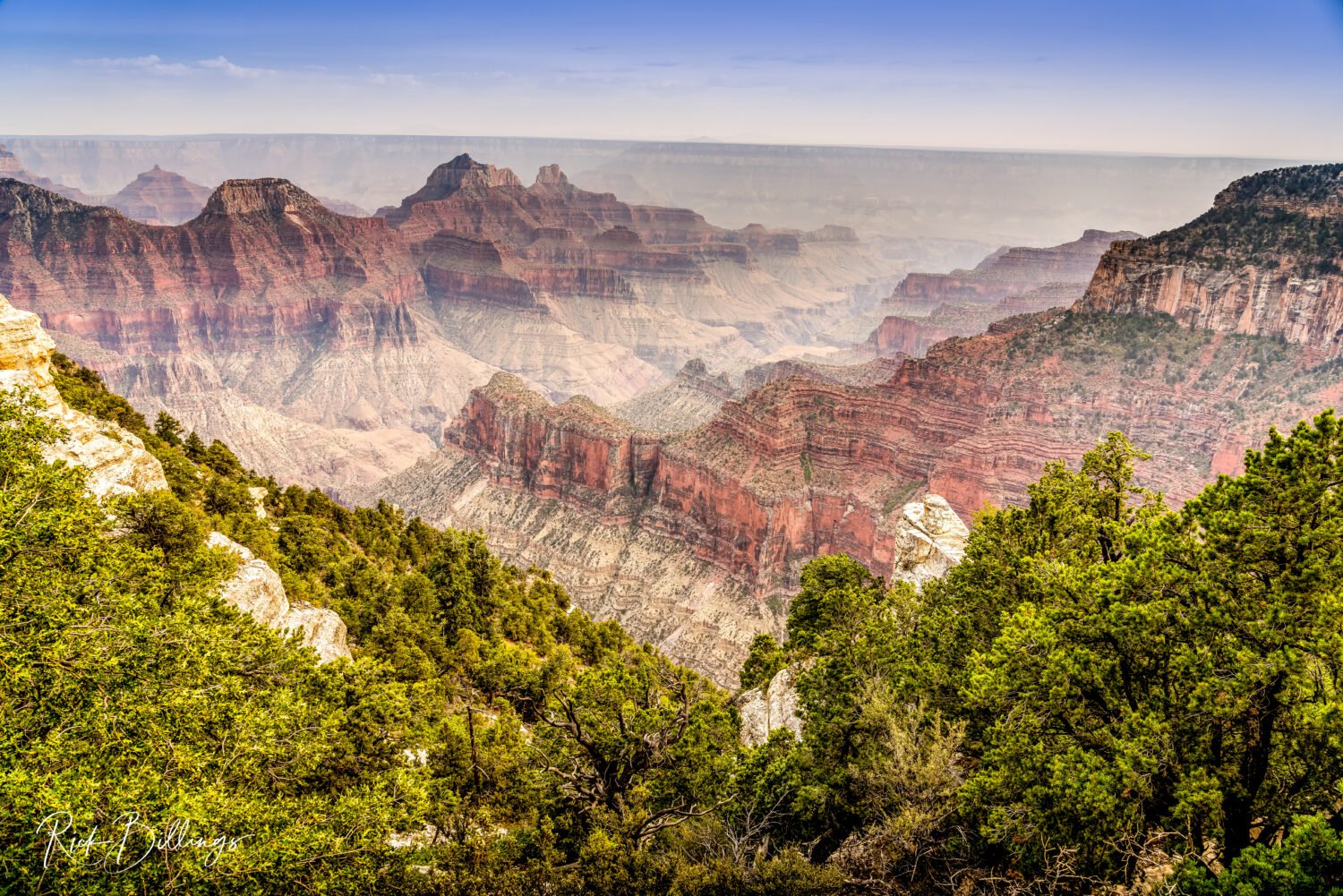 1296-Grand-Canyon-North-Rim