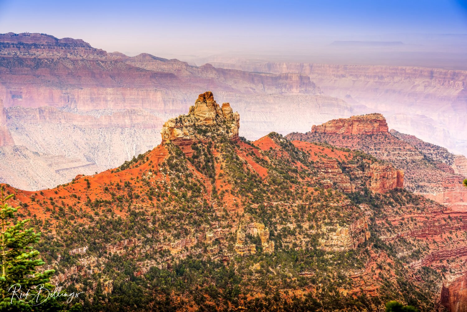 1297-Grand-Canyon-North-Rim