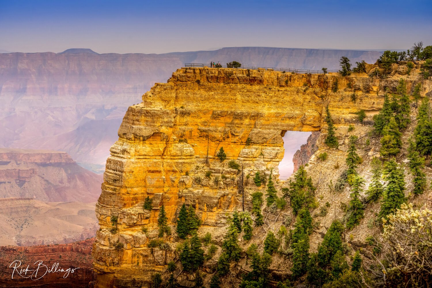 1299-Grand-Canyon-North-Rim