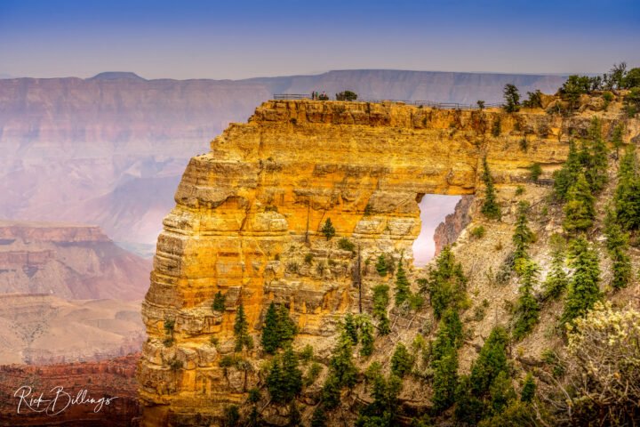 1299-Grand-Canyon-North-Rim