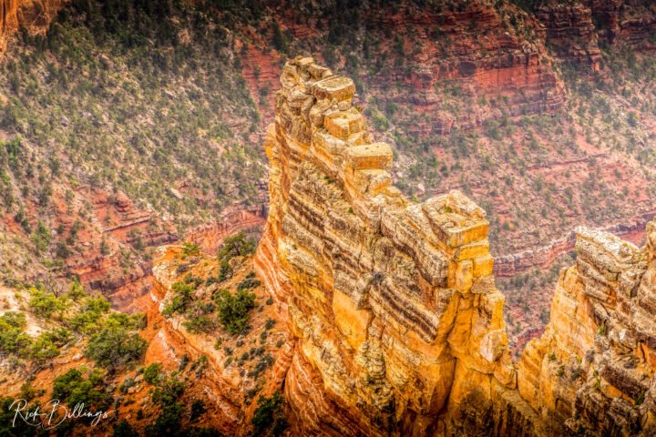 1309-Grand-Canyon-North-Rim