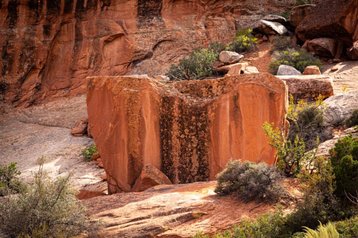 1506-Arches-Park-Moab-UT