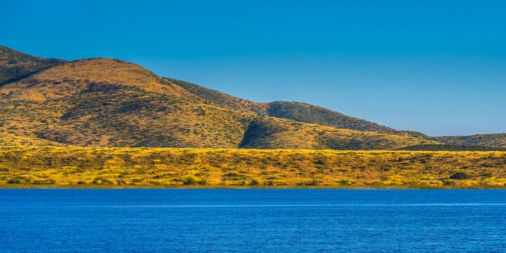 PANO-1191-San-Diego-CA